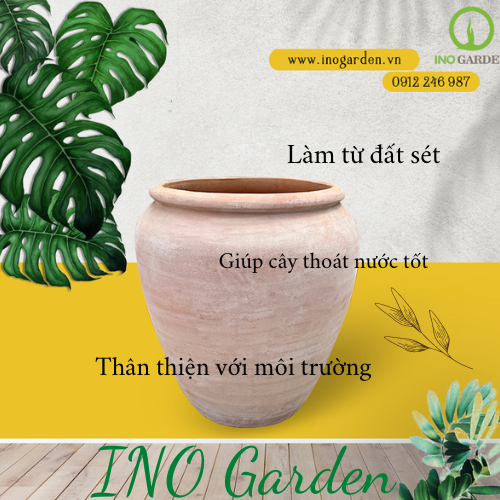 Chậu đất nung cỡ lớn