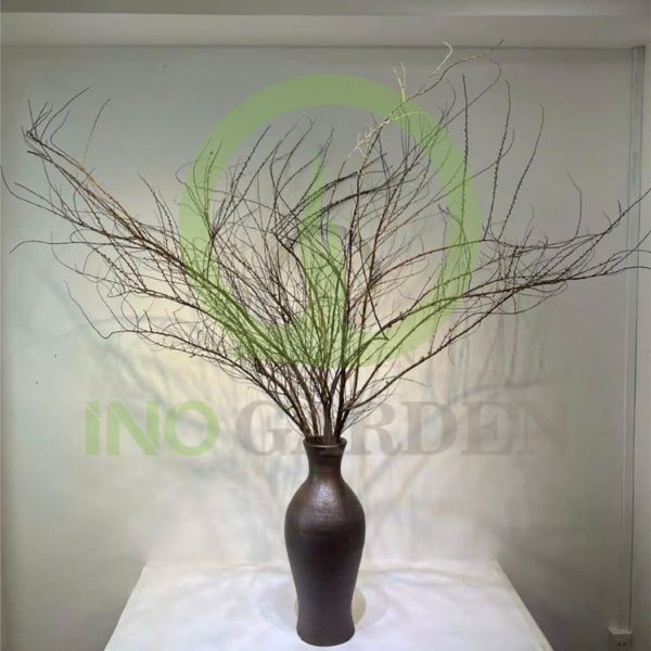 bình gốm cắm đào