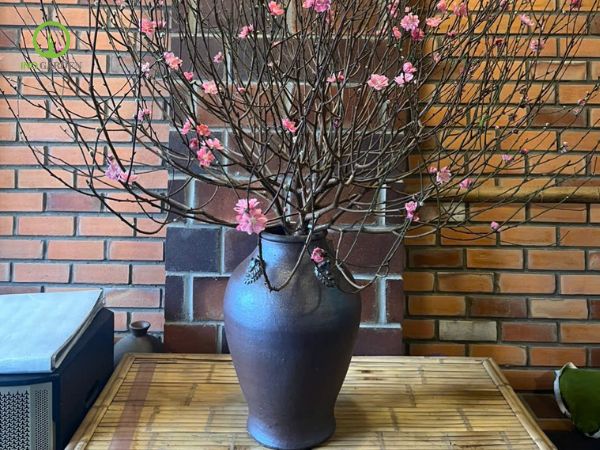 bình gốm nhỏ cắm hoa đào