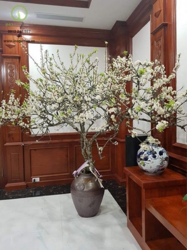 bình gốm cắm hoa đẹp