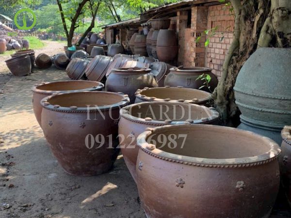 chậu gốm trồng cây