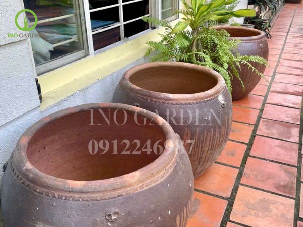 chậu cây kiểng bằng gốm