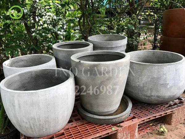 chậu cây xi măng