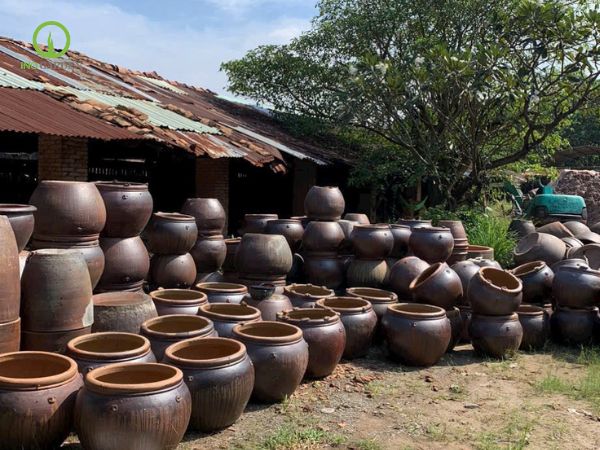 chậu cổ Lái Thiêu trồng cây