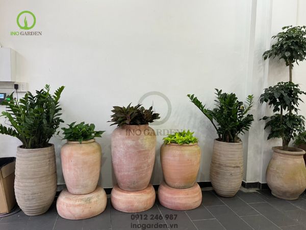 chậu đất nung trồng cây dáng cao