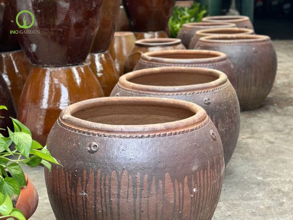 chậu đất nung trồng mai