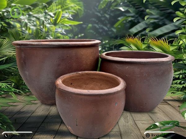 chậu đất trồng cây