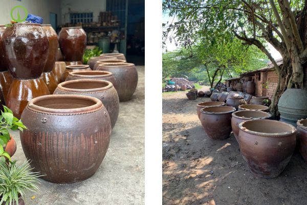 chậu đất trồng cây dáng tròn