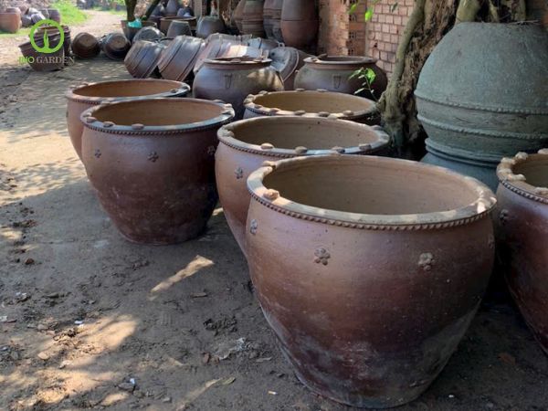 chậu gốm trồng cây Bát Tràng
