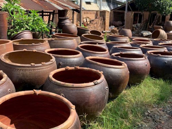 cách chọn chậu nuôi cá cảnh