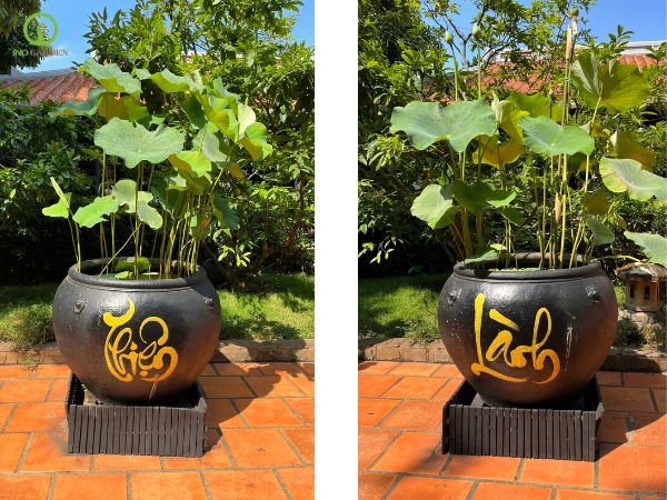 chậu trồng cây gốm sứ