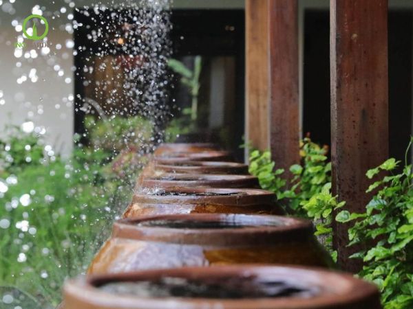 chum phong thuỷ tài lộc