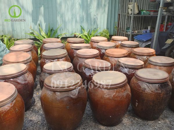 chum sành ngâm rượu tốt