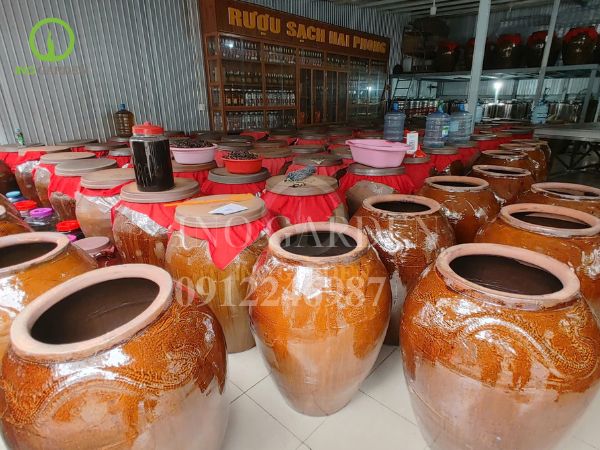 chum sành ngâm rượu tốt
