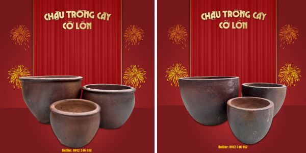 chậu gốm trồng mai