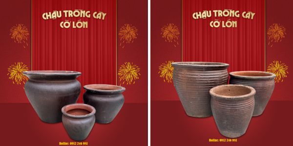 chậu đất sét trồng mai