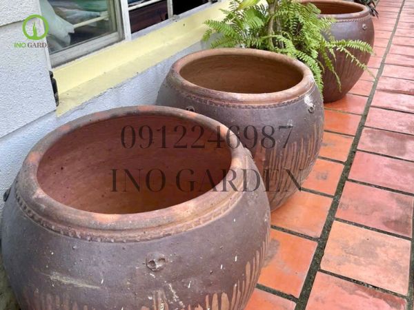 báo giá chậu cây cảnh cỡ lớn