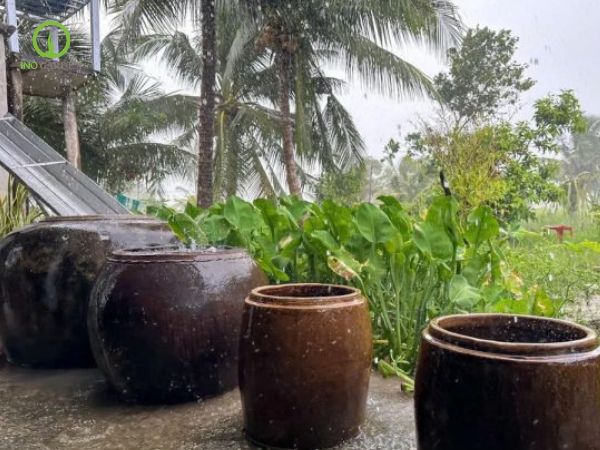 cái lu đựng nước mưa
