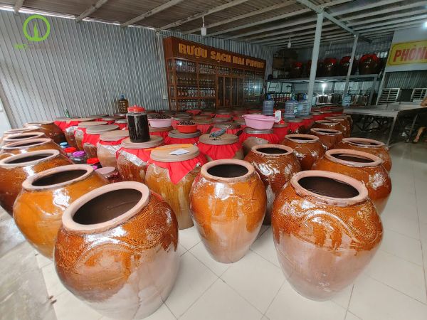 lu đất ngâm rượu