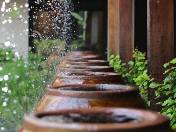 lu đất sét đựng nước