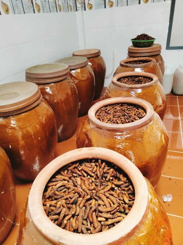 lu sành 4